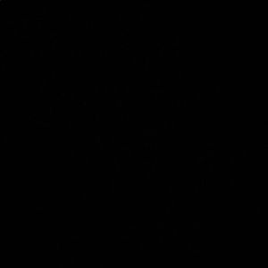 Meet your Posher, Rose